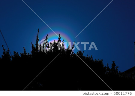 Pollen light ring 50011776