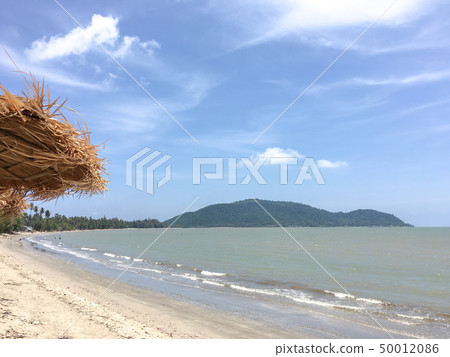 Holiday on the bleach in summer 50012086