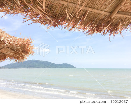 Holiday on the bleach in summer 50012087