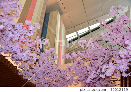 Landscape of Haneda Airport International Terminal 50012119