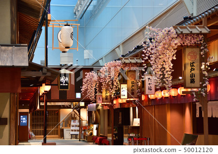 Landscape of Haneda Airport International Terminal 50012120