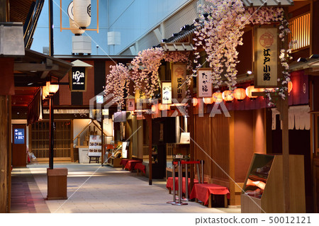 Landscape of Haneda Airport International Terminal 50012121
