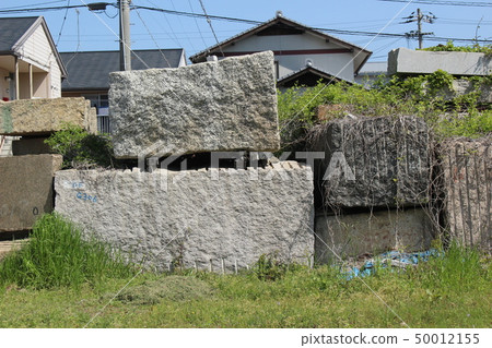 Rough rough skin Rough rough skin 50012155