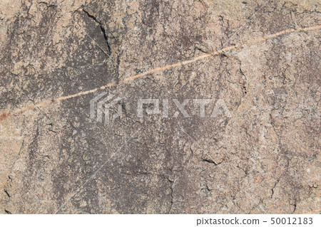 Rough rough skin Rough rough skin 50012183