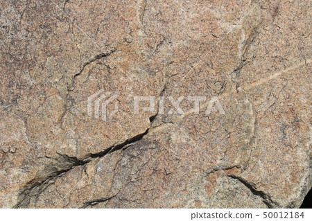 Rough rough skin Rough rough skin 50012184