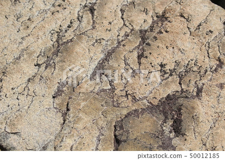 Rough rough skin 50012185