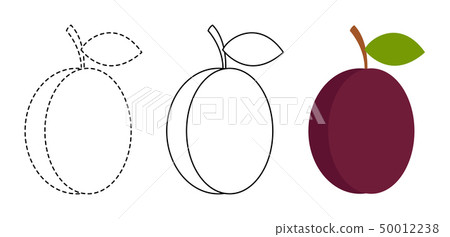 Plum to be colored and trace line 50012238
