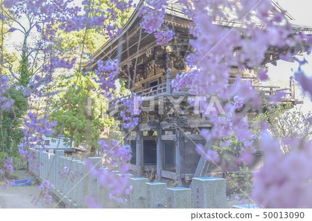 Tsukuba Shrine in the spring Tsukuba Shrine in the spring 50013090