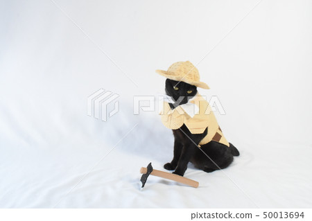 黑貓玩cosplay(農民)的圖片 黑貓玩cosplay(農民)的圖片 50013694
