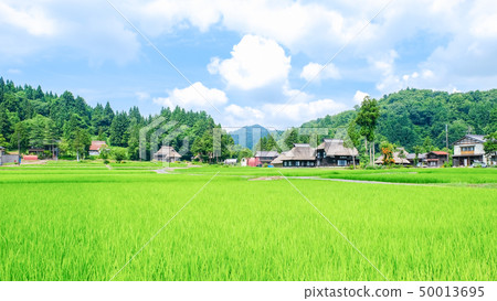 夏天的鄉村景觀(蘆之島環村) 夏天的鄉村景觀(蘆之島環村) 50013695