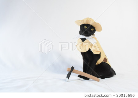 黑貓玩cosplay(農民)的圖片 黑貓玩cosplay(農民)的圖片 50013696