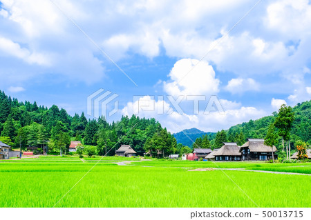 Rural landscape in summer (Ashinoshima ring village) Rural landscape in summer (Ashinoshima ring village) 50013715