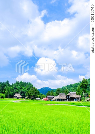 Rural landscape in summer (Ashinoshima ring village) Rural landscape in summer (Ashinoshima ring village) 50013749