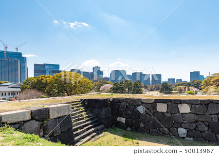 江戶城Tenshin-dori的風景 江戶城Tenshin-dori的風景 50013967