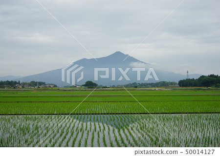 筑波山 图库照片