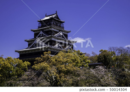 Hiroshima castle castle tower 50014304