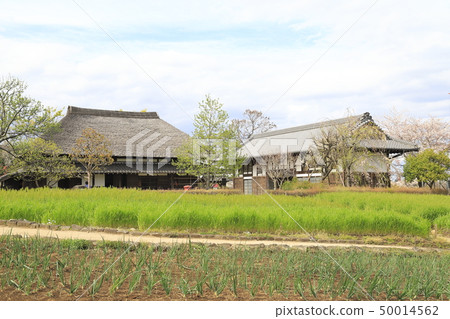 在足立市都市農業公園的老房子 50014562