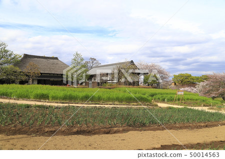 在足立市都市農業公園的老房子 在足立市都市農業公園的老房子 50014563