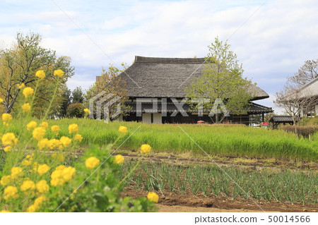 在足立市都市農業公園的老房子 在足立市都市農業公園的老房子 50014566