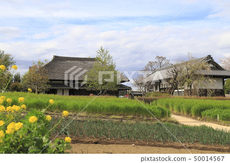 在足立市都市農業公園的老房子 在足立市都市農業公園的老房子 50014567