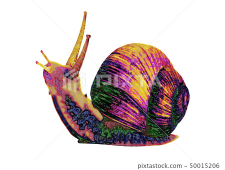 snails snails 50015206