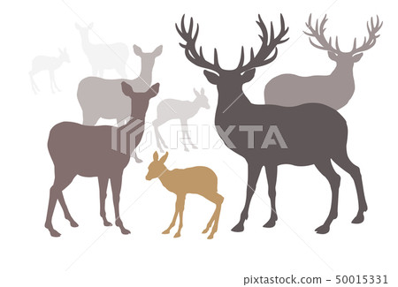 Deer family set collection silhouette style. Deer family set collection silhouette style. 50015331