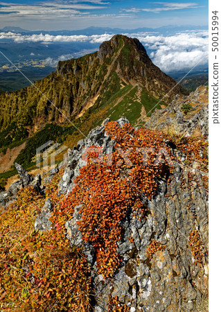 The autumn leaves of the Yatsugatake mountains / Akadake ridgeline and Amitabdake The autumn leaves of the Yatsugatake mountains / Akadake ridgeline and Amitabdake 50015994