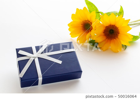 夏天的禮物 50016064