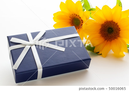 夏天的禮物 50016065