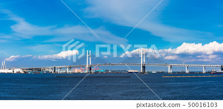 (神奈川縣 - 景觀全景)從大碼頭看到的橫濱灣大橋2 (神奈川縣 - 景觀全景)從大碼頭看到的橫濱灣大橋2 50016103