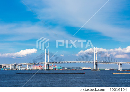 (神奈川縣景觀)從大碼頭看到的橫濱灣大橋2號 (神奈川縣景觀)從大碼頭看到的橫濱灣大橋2號 50016104