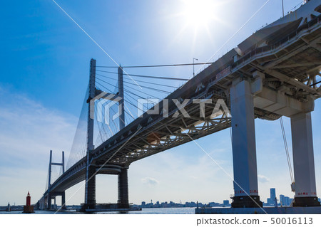 (神奈川縣景觀)從Daikokufuto仰望的橫濱灣大橋 (神奈川縣景觀)從Daikokufuto仰望的橫濱灣大橋 50016113