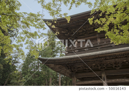 Engakuji temple gate (Kamakura City Yamanouchi) 50016143