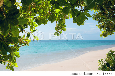 tropic view tropic view 50016368