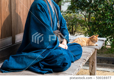貓和僧侶 50016977