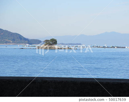 A view of the sea A view of the sea 50017639