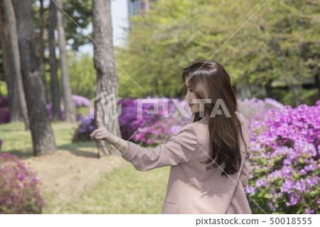 女商人 女商人 50018555