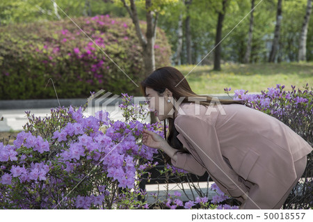 女商人 女商人 50018557