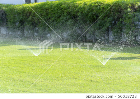灑水器和草坪 50018728