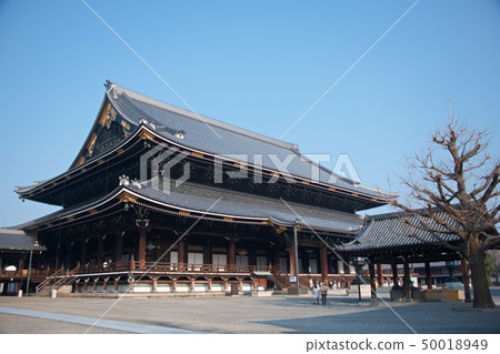 東本願寺2019年春天 東本願寺2019年春天 50018949