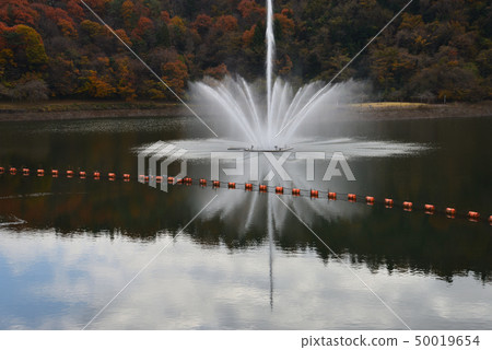 The Ten Wang dam 2018-12-2 # 10 50019654