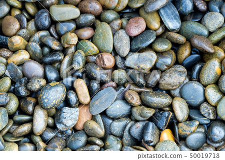 small rock on the beach. 50019718