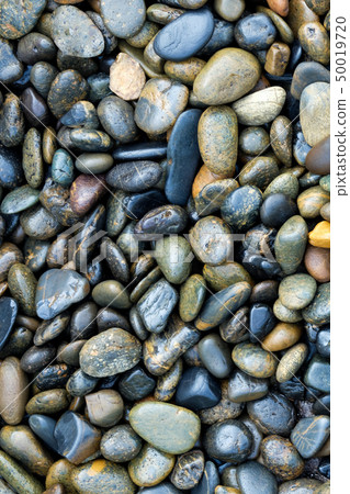 small rock on the beach. 50019720