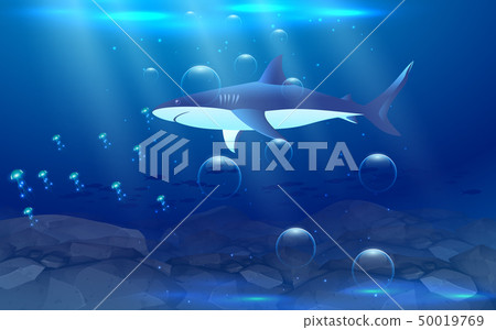 White shark with jellyfish under ocean in the nigh White shark with jellyfish under ocean in the nigh 50019769