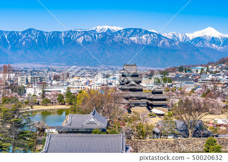 從松本市觀察台觀察的松本城和市區[長野縣] 50020632