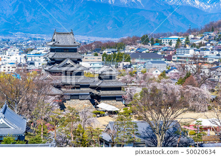 從松本市觀察台觀察的松本城和市區[長野縣] 50020634