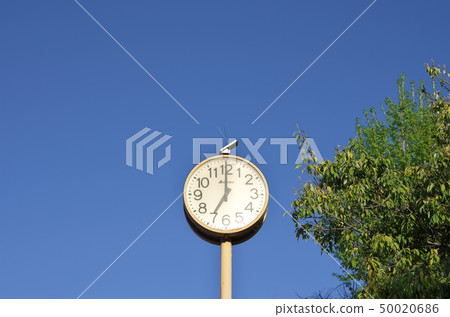 [7:00] Outdoor pole type clock 50020686