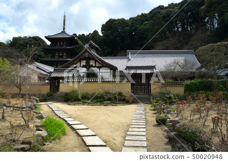 Togenan Sonanji 50020948