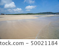The beach 50021184