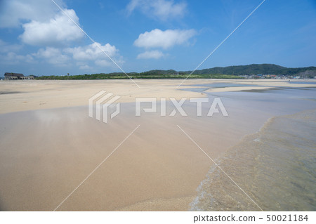 The beach The beach 50021184